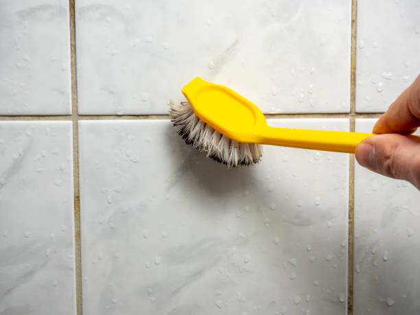 Best Mold Cleaning Services  in Marion, VA