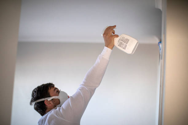 Best Mold Remediation  in Marion, VA